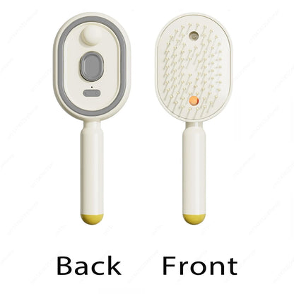 2-in-1 Misting Hair Brush with Retractable Water Spray